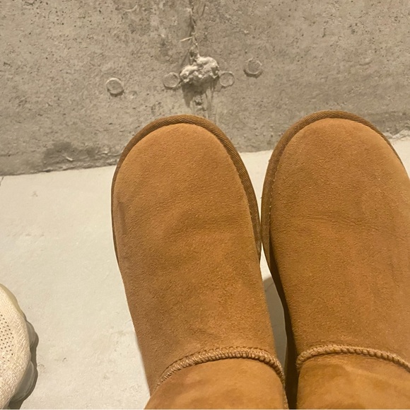 UGG chestnut classic short II - Picture 1 of 5